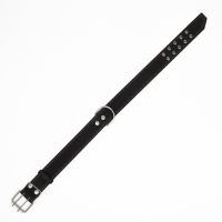 Ошейник кожаный двухслойный, 85 х 4.5 см, ОШ 50-70 см, чёрный Ошейник кожаный двухслойный, 85 х 4.5 см, ОШ 50-70 см, чёрный