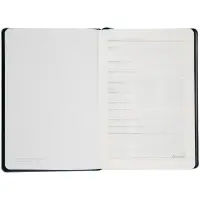 Ежедневник Alanis, недатированный, черный c бирюзовым Ежедневник Alanis, недатированный, черный c бирюзовым