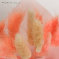 Букет из сухоцветов Smile, 13 &times; 21 &times; 5 см