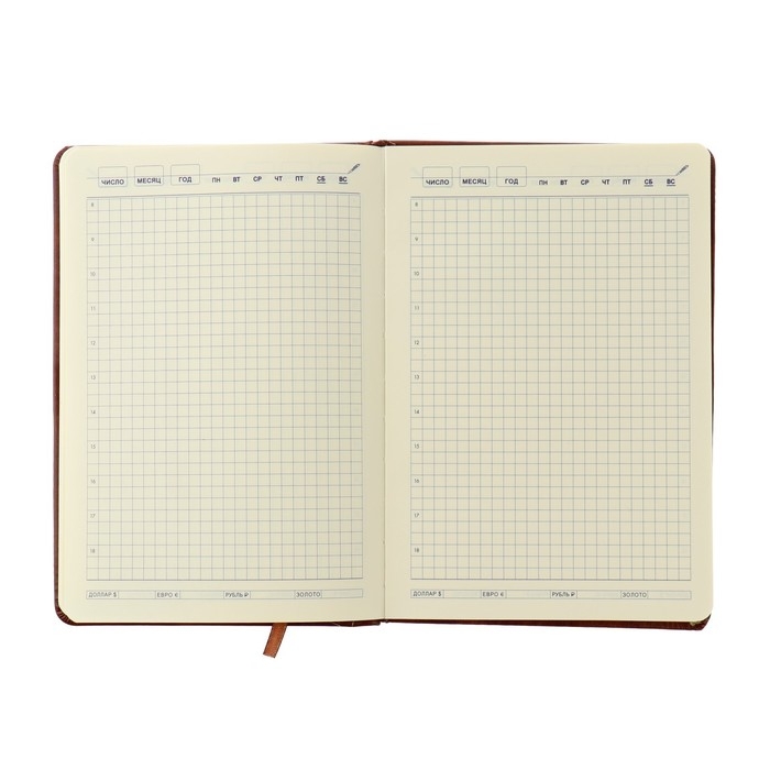 Ежедневник недатированный А5, 116 листов в клетку, с хлястиком, обложка кожзам, МИКС