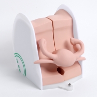 Макет "Вагина" разборный 19*13*17см Макет "Вагина" разборный 19*13*17см