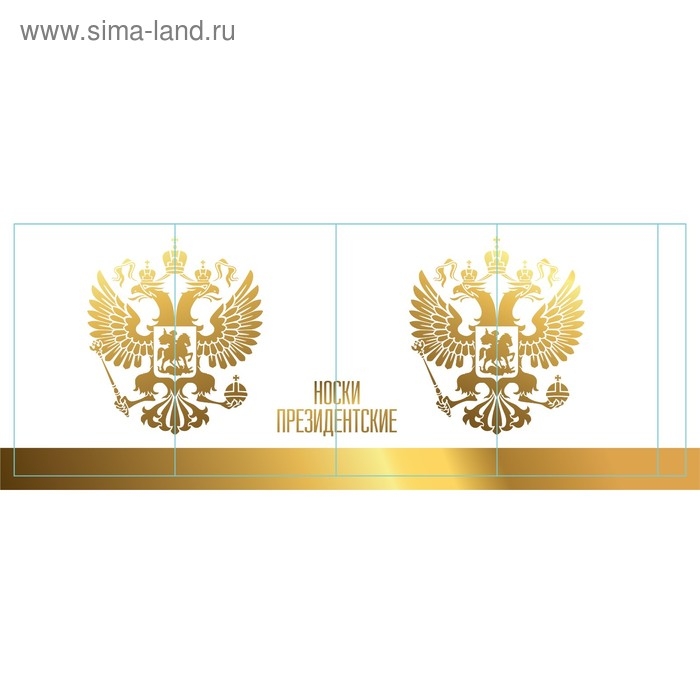 Носки в банке "Президентские"  (мужские, цвет черный)