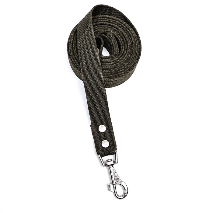 Поводок брезентовый 5 м х 3,5 см, тёмно-зелёный