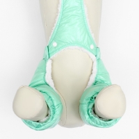 Комбинезон-штаны для собак, размер L (ДС 40, ОТ 44 см), мятный Комбинезон-штаны для собак, размер L (ДС 40, ОТ 44 см), мятный