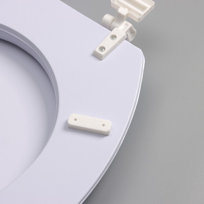 Сиденье для унитаза с крышкой Доляна «Ромашки», 42×36,5 см Сиденье для унитаза с крышкой Доляна «Ромашки», 42×36,5 см