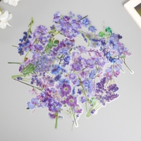 Наклейки для творчества пластик PVC "Сиреневое поле" набор 40 шт 9х10.5 см