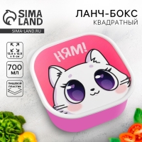 Ланч-бокс &laquo;Котик&raquo;, 700 мл