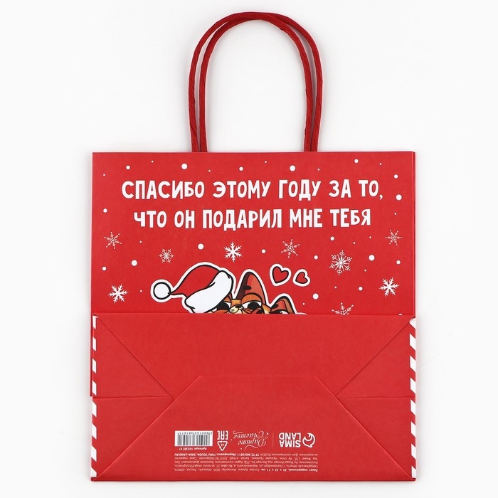 Пакет подарочный новогодний &laquo;Спасибо этому году&raquo;, 22 х 22 х 11 см