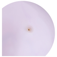 Мяч детский «Динозаврики», d=25 см, цвет МИКС Мяч детский «Динозаврики», d=25 см, цвет МИКС