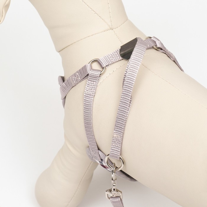 Комплект амуниции с мягкой шлейкой, поводок 120 х 1 см, ОГ 34-58 см, синяя клетка