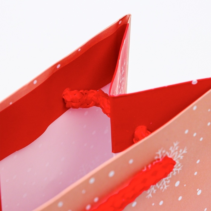 Новый год. Пакет подарочный новогодний под бутылку, упаковка Новый год. Пакет подарочный новогодний под бутылку, упаковка "Красивая Ёлка", 12 х 36 х 8,5 см.