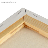 Холст на подрамнике, хлопок 100%, 40 х 50 х 1.8 см, акриловый грунт, мелкозернистый, 280 г/м2 "Студия" Холст на подрамнике, хлопок 100%, 40 х 50 х 1.8 см, акриловый грунт, мелкозернистый, 280 г/м2 "Студия"