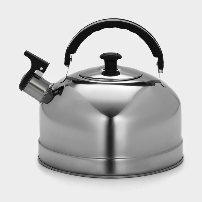 Чайник со свистком из нержавеющей стали &laquo;Семейный&raquo;, 2,8 л