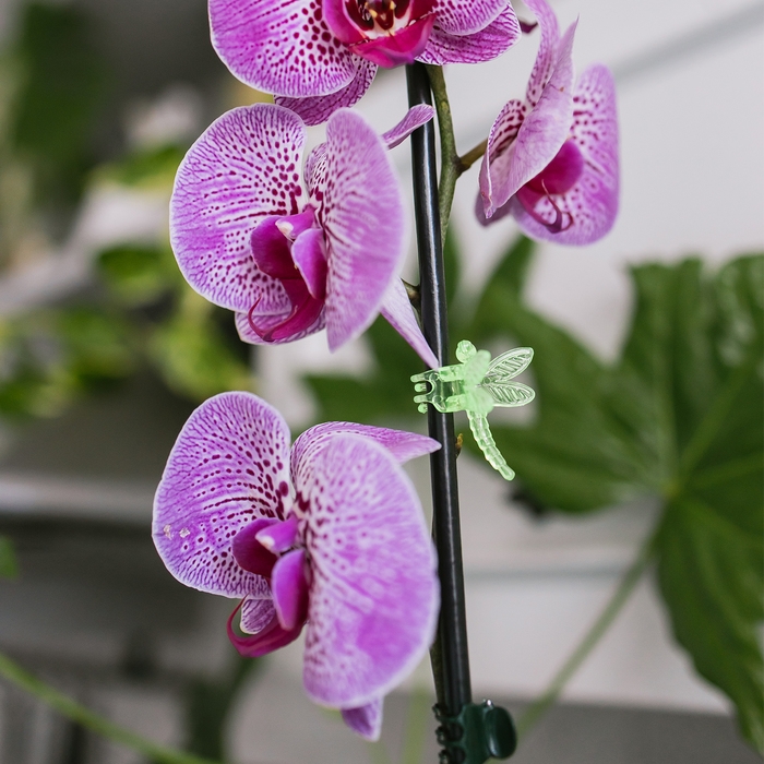 Клипса для растений «Стрекоза», набор 10 шт., МИКС, Greengo Клипса для растений «Стрекоза», набор 10 шт., МИКС, Greengo