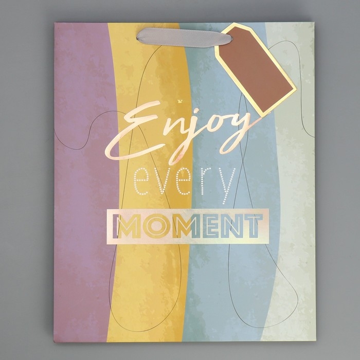 Пакет подарочный ламинированный, упаковка, &laquo;Лови момент&raquo;, 25.4 х 30.5 х 12.7 см