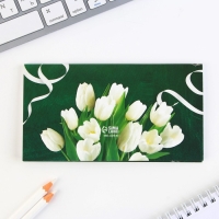 Набор «Лучшему учителю»: ежедневник А5 160 листов, планинг 50 листов и ручка пластик Набор «Лучшему учителю»: ежедневник А5 160 листов, планинг 50 листов и ручка пластик