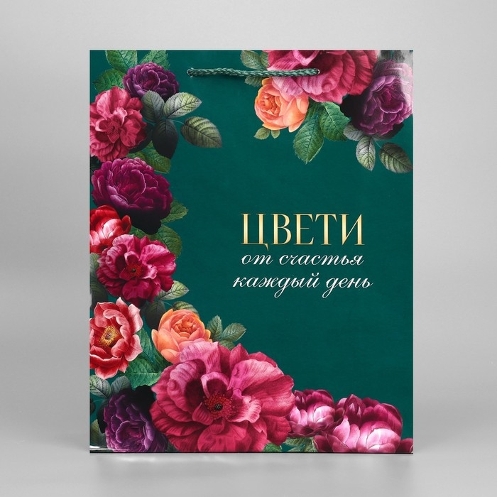 Пакет подарочный ламинированный, упаковка, &laquo;Каждый день&raquo;, M 24 х 29 х 9 см