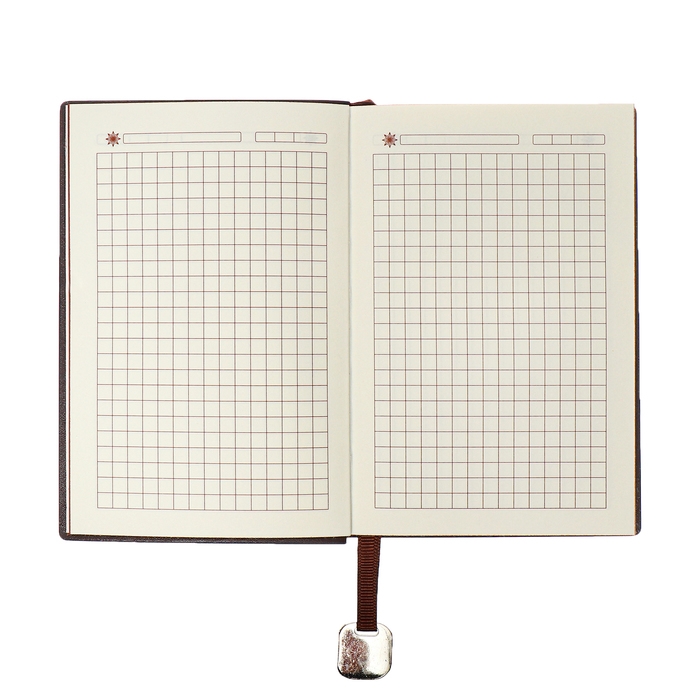 Органайзер, А6, 116 листов, клетка, обложка кожзам, коричневый срез, синий Органайзер, А6, 116 листов, клетка, обложка кожзам, коричневый срез, синий