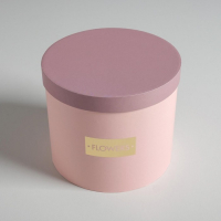 Набор шляпных коробок для цветов 4 в 1, упаковка подарочная, &laquo;Нежные тона&raquo;, 14 х 13 см - 20 х 17,5 см