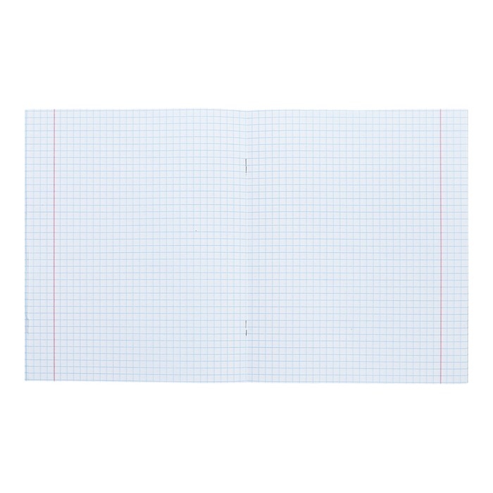 Тетрадь 48 листов в клетку Calligrata TOP Тетрадь 48 листов в клетку Calligrata TOP "Подводная сказка", обложка мелованный картон, голография, блок офсет, белизна 95%, МИКС