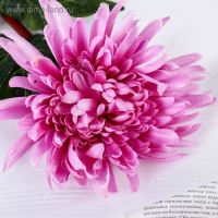 Цветы искусственные "Астра пионовидная" 17х63 см, сиреневый Цветы искусственные "Астра пионовидная" 17х63 см, сиреневый