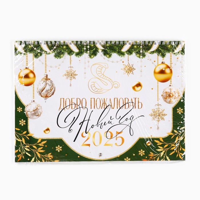 Календарь 2025 настенный, на спирали «Новый год: Добро пожаловать», 34 х 24 см Календарь 2025 настенный, на спирали «Новый год: Добро пожаловать», 34 х 24 см