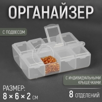 Органайзер для рукоделия, с подвесом, 8 отделений, 8 × 6 × 2 см, цвет прозрачный Органайзер для рукоделия, с подвесом, 8 отделений, 8 × 6 × 2 см, цвет прозрачный