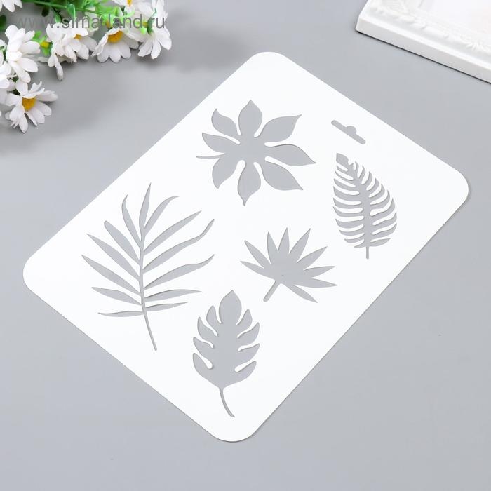 Трафарет пластик Трафарет пластик "Листья" 16х22 см