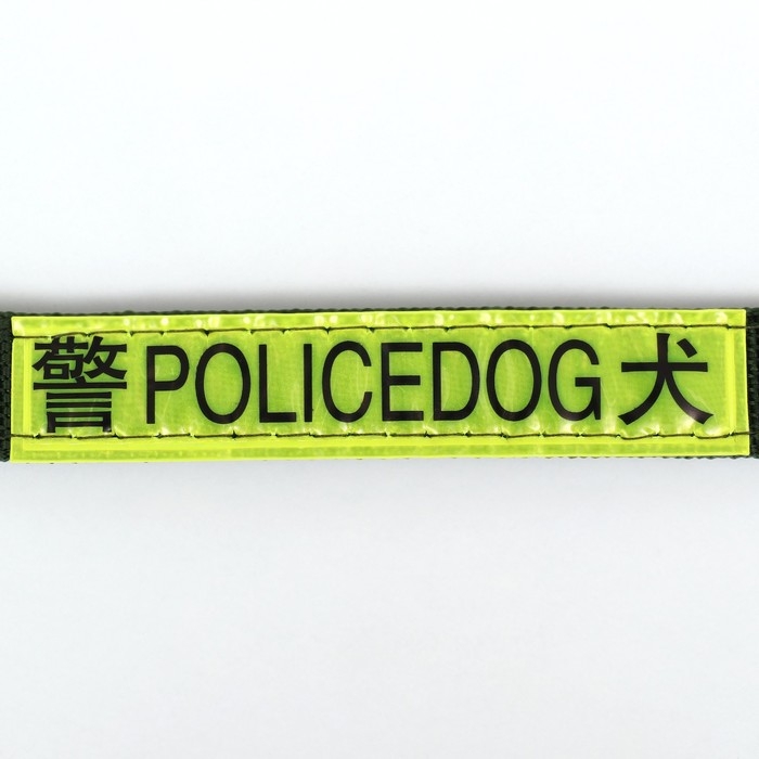 Ошейник двухслойный с вертлюгом, 3 см, зелёный Ошейник двухслойный с вертлюгом, 3 см, зелёный