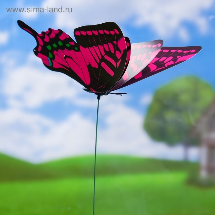 Штекер Штекер "Бабочка Альпина" 21х22см/42 см, МИКС