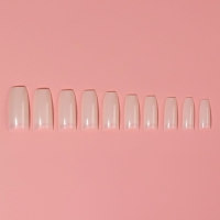 Типсы для наращивания ногтей, 100 шт, форма балерина, короткая контактная зона, в контейнере, цвет бежевый Типсы для наращивания ногтей, 100 шт, форма балерина, короткая контактная зона, в контейнере, цвет бежевый