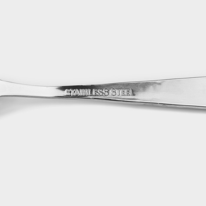 Набор чайных ложек из нержавеющей стали Доляна &laquo;Возрождение&raquo;, длина 14,5 см, 6 шт, без золота