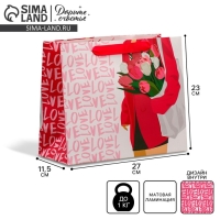 Пакет подарочный ламинированный двухсторонний, упаковка, &laquo;Стиль&raquo;, ML 23 х 27 х 11,5 см