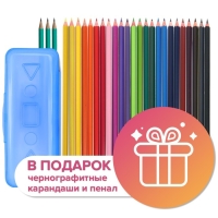 Карандаши 24 цвета Calligrata, ЭКОНОМ, заточенные, шестигранные, пластиковые, пенал-футляр и 3 чернографитных карандаша с ластиком в ПОДАРОК, МИКС Карандаши 24 цвета Calligrata, ЭКОНОМ, заточенные, шестигранные, пластиковые, пенал-футляр и 3 чернографитных карандаша с ластиком в ПОДАРОК, МИКС