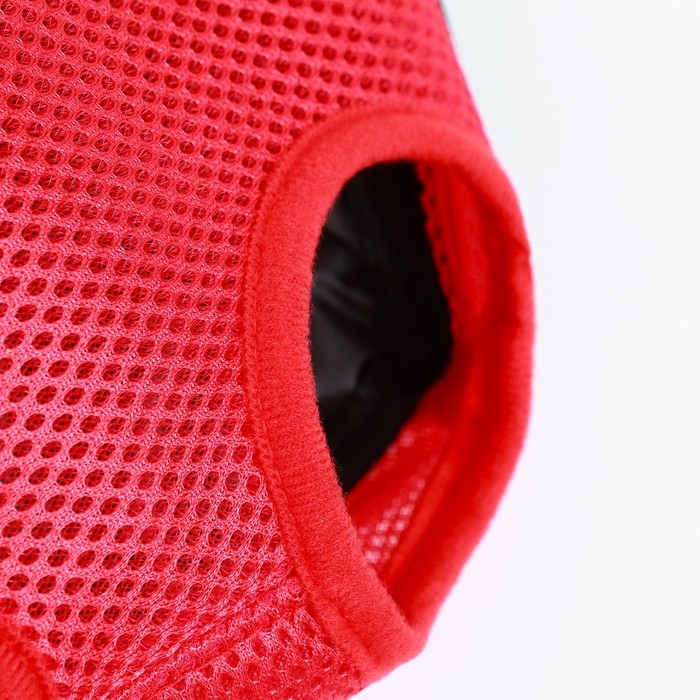 Рюкзак-переноска для кошек и собак "Кенгуру", 35 х 25 х 20 см, размер S, красный