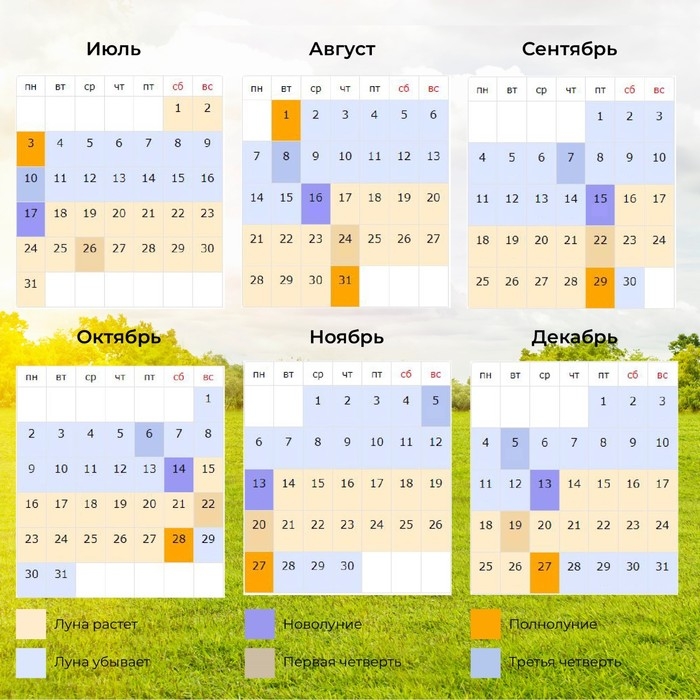 Семена Огурец Семена Огурец "Шопа" набор 3 шт