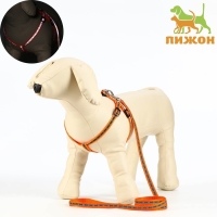 Комплект светоотражающий "Косточки", ошейник 120 х 1 см, ОШ 24-40 см, ОГ 24-40 см оранжевый