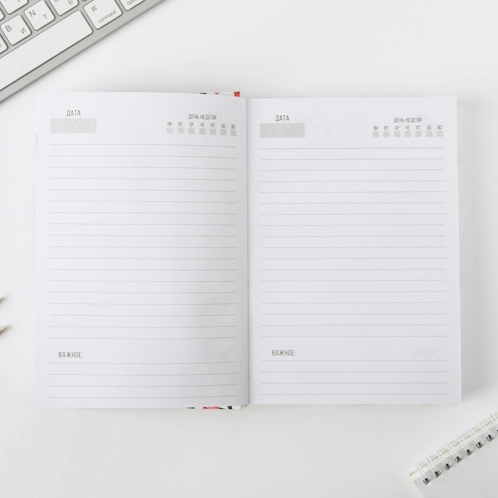 Ежедневник &laquo;Ежедневник&raquo;, А5, 160 листов