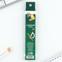 Ручка пиши стирай на выпускной 9 стержней &laquo;Выпускнику школы&raquo; синяя паста, гелевая 0.5 мм набор