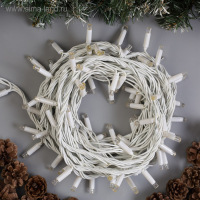 Гирлянда &laquo;Нить&raquo; 10 м, IP65, УМС, белая нить, 100 LED, свечение синее, 220 В