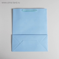 Пакет подарочный, упаковка, &laquo;Голубой&raquo;, 26 х 32 х 12 см