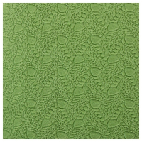 Коврик для йоги Sangh, 183×61×0,6 см, цвет зелёный Коврик для йоги Sangh, 183×61×0,6 см, цвет зелёный