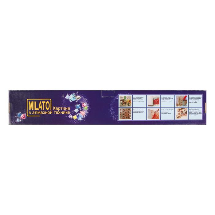 Алмазная мозаика &laquo;Девушка с драконом&raquo;, 51 цвет