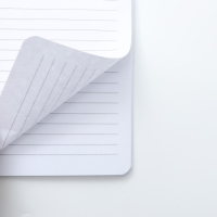 Ежедневник А5+, 100 листов Мягкая обл.Софт-тач &laquo;Паттерн&raquo;