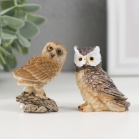 Сувенир полистоун "Серая сова" МИКС 2,3х4,3х4,5 см Сувенир полистоун "Серая сова" МИКС 2,3х4,3х4,5 см