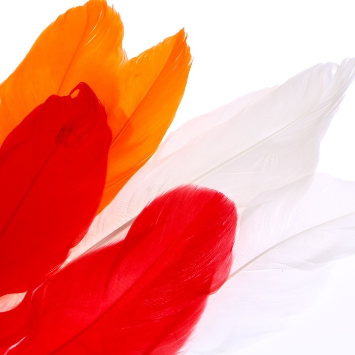 Набор для творчества: создание игрушки из меховых палочек и раскраска &laquo;Веселая курочка&raquo;