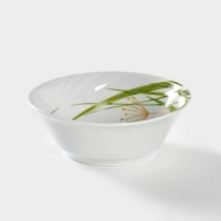 Салатник фарфоровый «Стрекоза», 360 мл, d=14,5 см, цвет белый Салатник фарфоровый «Стрекоза», 360 мл, d=14,5 см, цвет белый