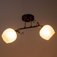 Люстра "Акапулько" 2х60Вт Е27 Коричневый, золото 48х28х24см Люстра "Акапулько" 2х60Вт Е27 Коричневый, золото 48х28х24см