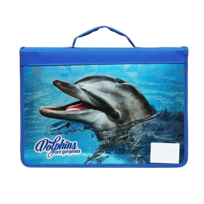 Папка для труда А4, с ручками, молния вокруг, ламинированный картон, 81ТР44, Calligrata, Папка для труда А4, с ручками, молния вокруг, ламинированный картон, 81ТР44, Calligrata, "Дельфин"