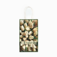 Пакет подарочный крафт «8 марта», тюльпаны 12 × 21 × 9 см Пакет подарочный крафт «8 марта», тюльпаны 12 × 21 × 9 см